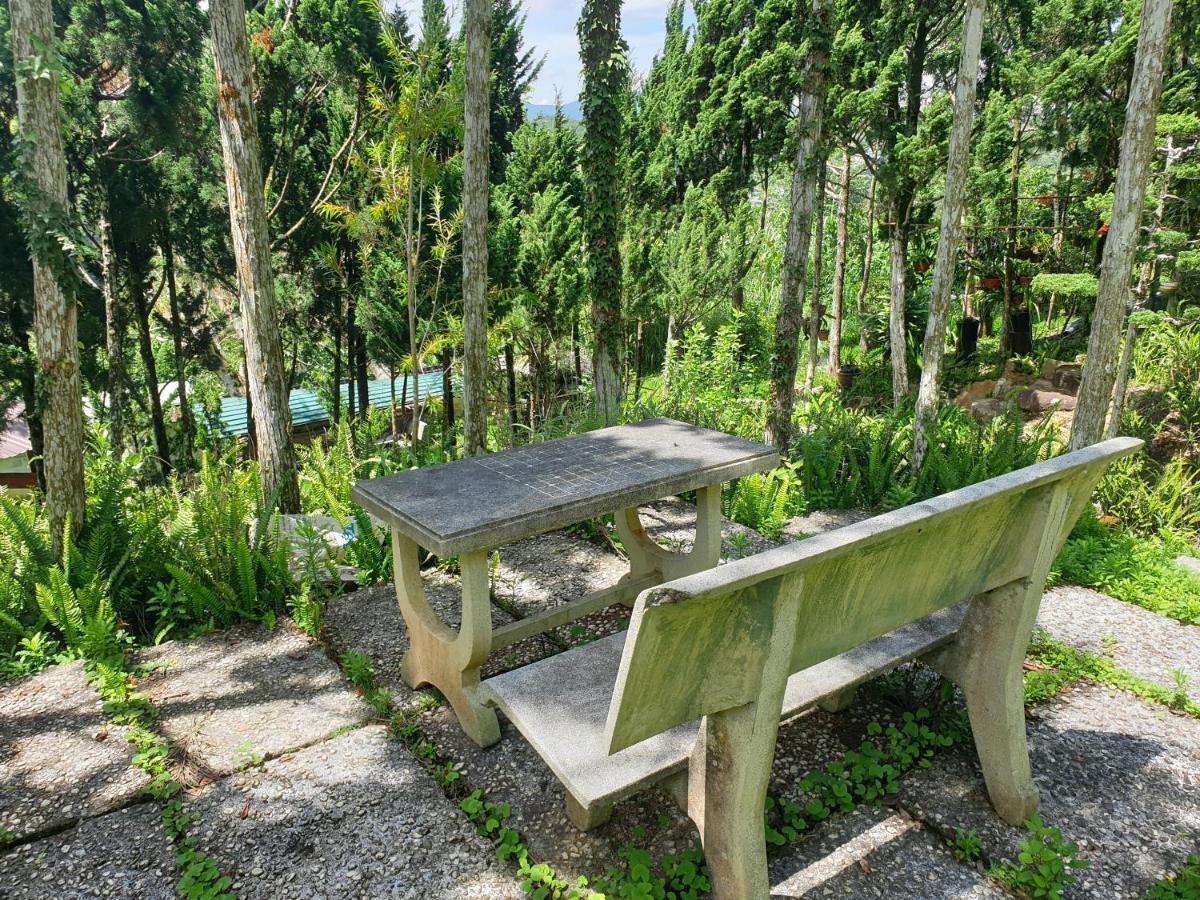 Villa Dieu Thong - Secrect Garden, View San May Va Nui ดาลัด ภายนอก รูปภาพ