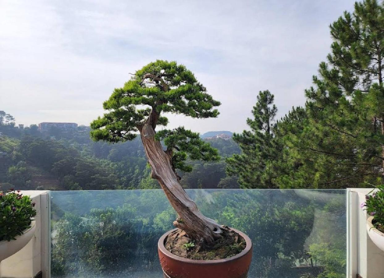 Villa Dieu Thong - Secrect Garden, View San May Va Nui ดาลัด ภายนอก รูปภาพ