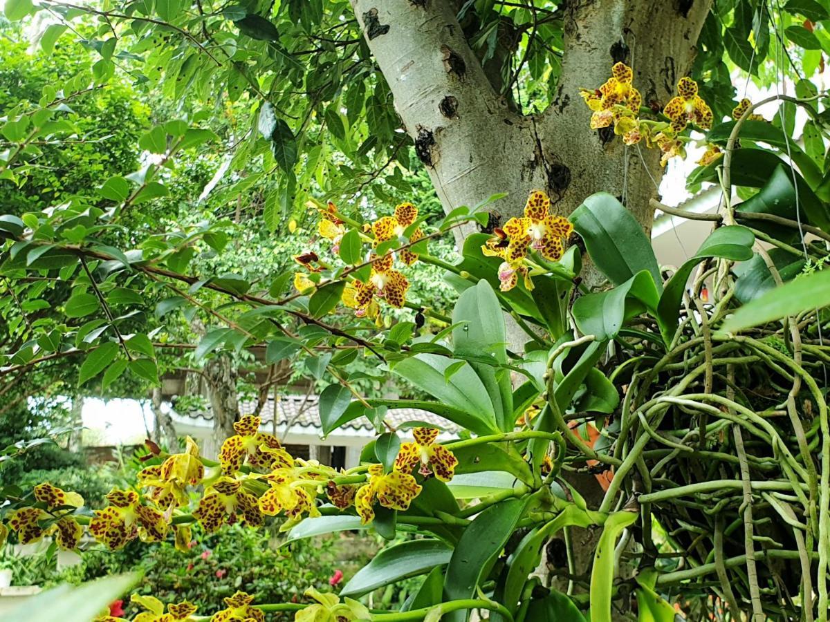 Villa Dieu Thong - Secrect Garden, View San May Va Nui ดาลัด ภายนอก รูปภาพ